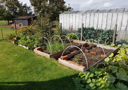 Groentetuin Van Mijn Dochtertje Groenten