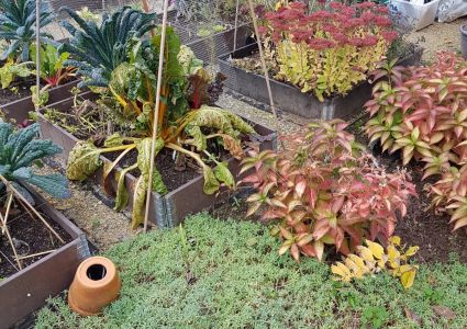 Groentetuin Van Mijn Dochtertje Pallet opzetstukken