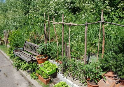 Groentetuin Van Mijn Dochtertje Verloren hoekje