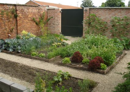 Groentetuin Van Mijn Dochtertje Groentebed