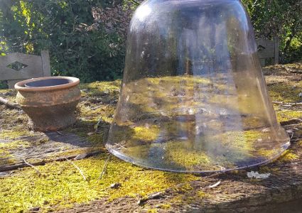 Groentetuin Van Mijn Dochtertje Stolp