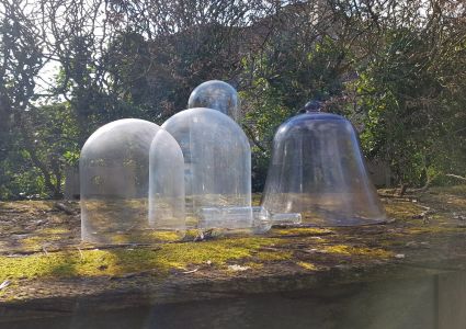 Groentetuin Van Mijn Dochtertje Glazen stolpen