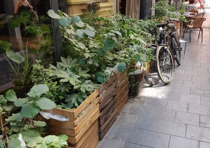 Groentetuin Van Mijn Dochtertje In de Stad