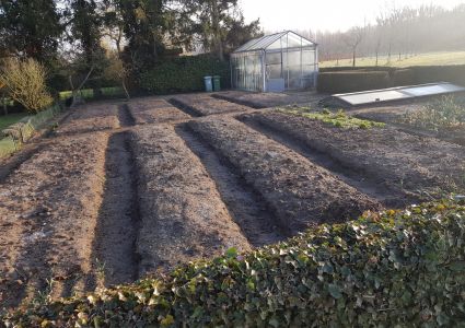 Groentertuin Van Mijn Dochtertje: Van klein naar groot