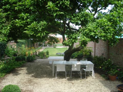 Terras onder de boom