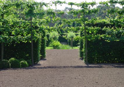 Janssens Vandendriessche 2006 001