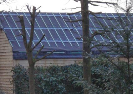 Bomen verdienen beter: kapstokbomen