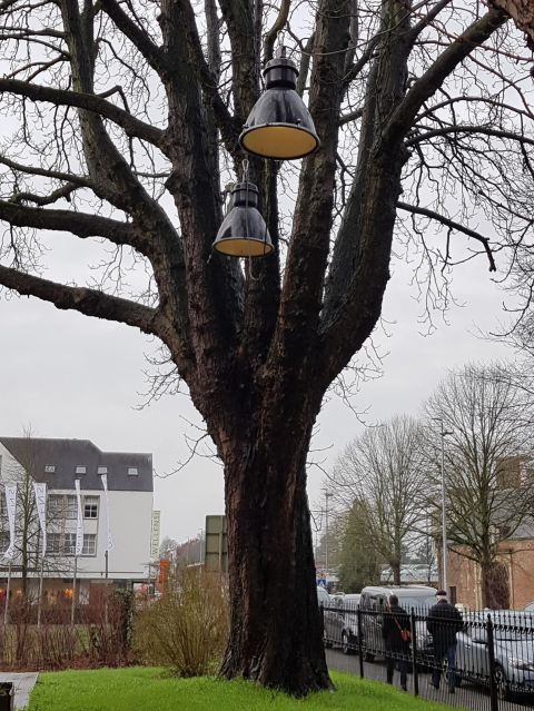 Verlichtinghanglampen