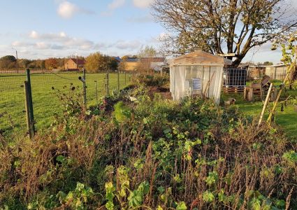 Groentetuin Van Mijn Dochtertje groentetuin