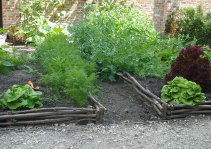 Groentetuin Van Mijn Dochtertje Groentebed