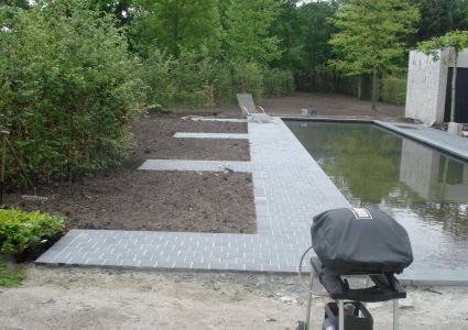 Haagplanten 1ste jaar