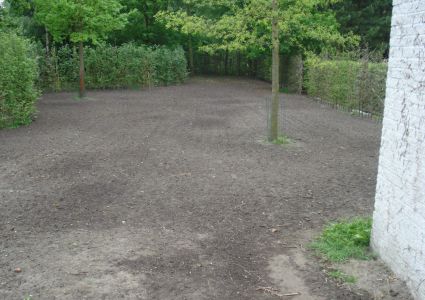 Haagplanten 1 ste jaar