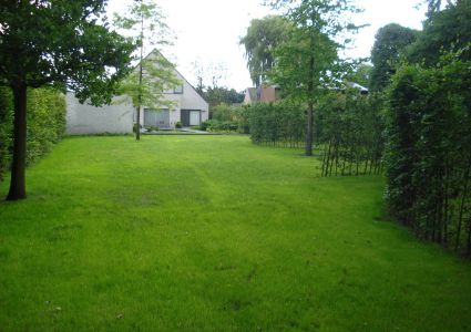 Haagplanten het effect 2de jaar