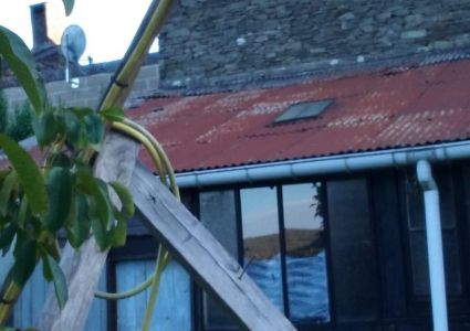 leven Tuindouche met oude gieter