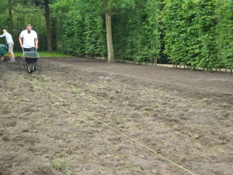 herprofilering gazon