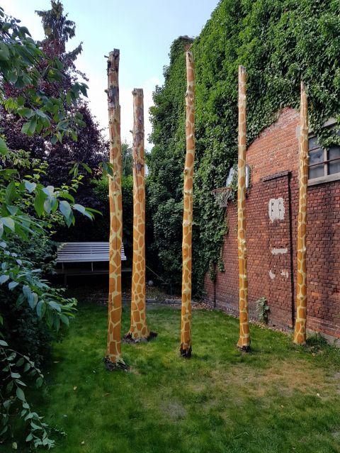 Giraffen In Mijn Tuin