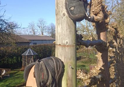 Nestkastje in mijn schoenen