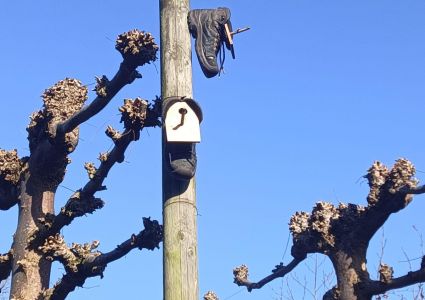 Nestkastje van mijn schoenen