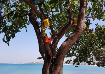 Nestkastje aan de zee