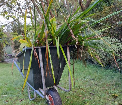Struikrovers aan het werk